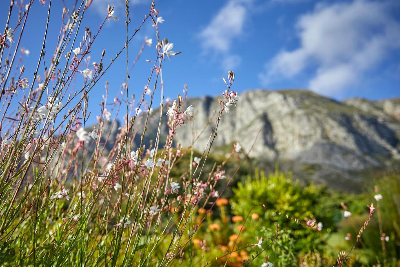 The Thatch House Boutique Hotel, Hotel Hermanus